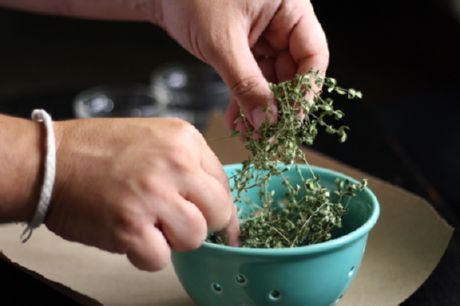 Dried herbs (balanoy at oregano)