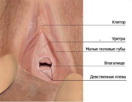 Hymen (larawan)