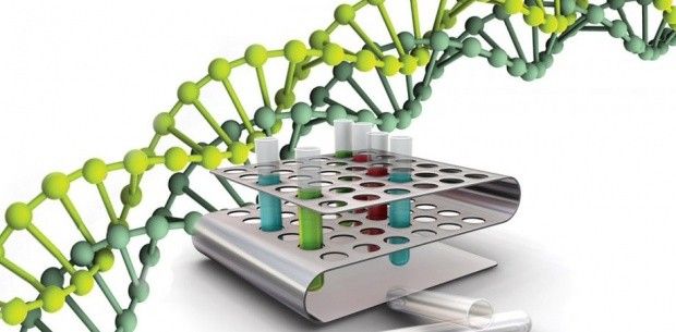 Ang mga artipisyal na chromosome ay nakakatulong upang makayanan ang mga namamana na sakit