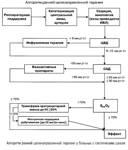 Algorithm ng maagang naka-target na therapy sa mga pasyente na may septic shock