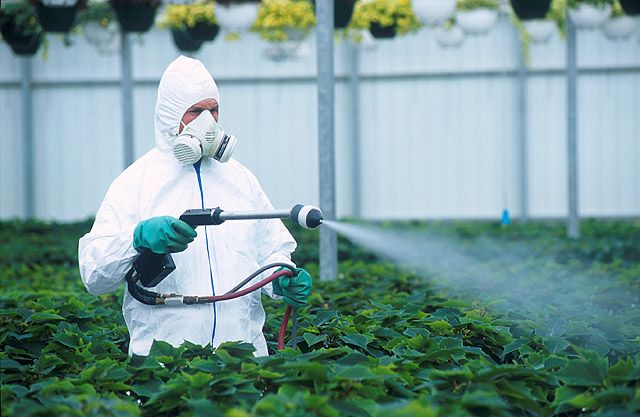 Nanopesticides: isang bagong solusyon o isang bagong banta? 