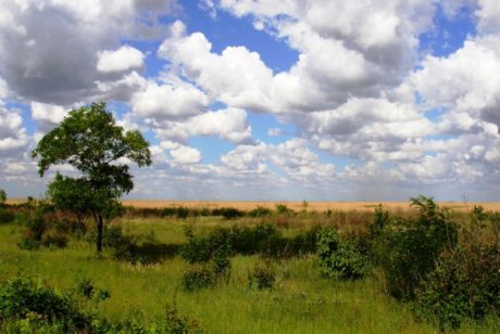 Pahinga sa tagsibol sa Ukrainian steppe