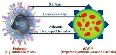 Ang isang komplikadong sintetikong bakuna batay sa mga molecule ng DNA