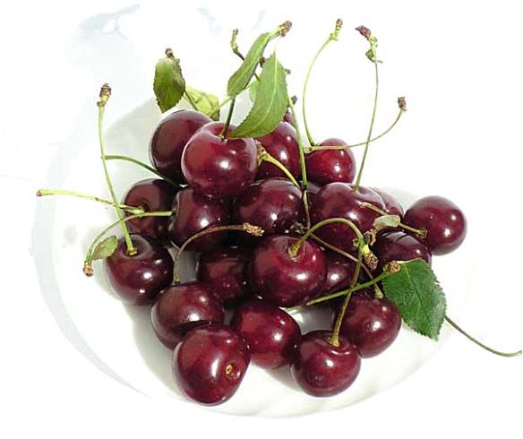 Ang acidic cherry ay naglalaman ng higit pang mga anti-inflammatory substance kaysa sa anumang iba pang produkto