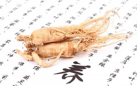 Ginseng sa panahon ng pagbubuntis